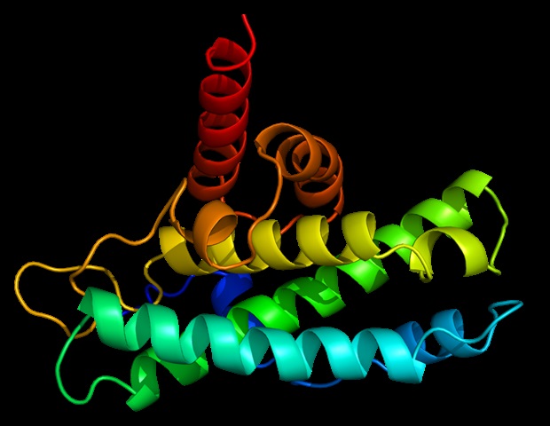 30.04.2021: “Proteína ‘pico’ distinta da SARS-CoV-2 desempenha um papel fundamental na própria doença, mostra estudo” * “O artigo, publicado em 30 de abril de 2021, na Circulation Research, também mostra conclusivamente que COVID-19 é uma doença vascular, demonstrando exatamente como o vírus SARS-CoV-2 danifica e ataca o sistema vascular em nível celular.” * “SARS-CoV-2’s distinctive ‘spike’ protein plays a key role in the disease itself, shows study” – News-Medical